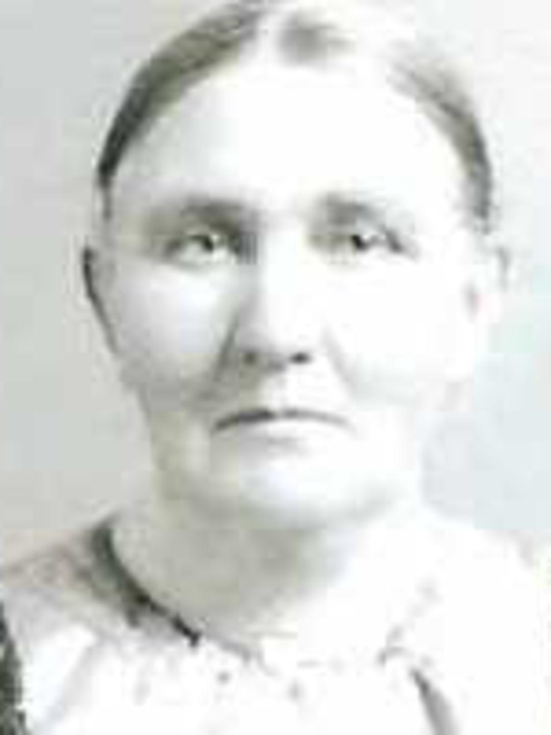 Martha Belinda Gardner (1839 - 1907) Profile
